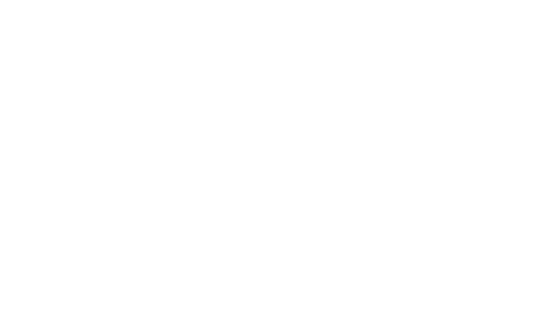 Birdie Fusions