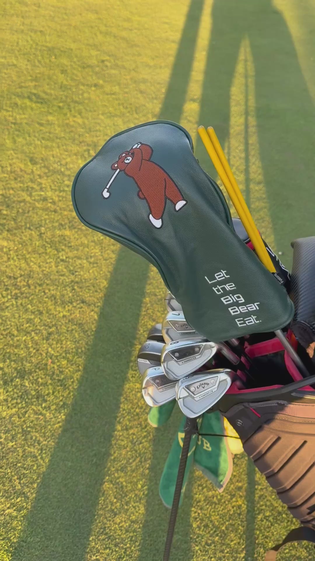 Brown Bear Driver Headcover sunset